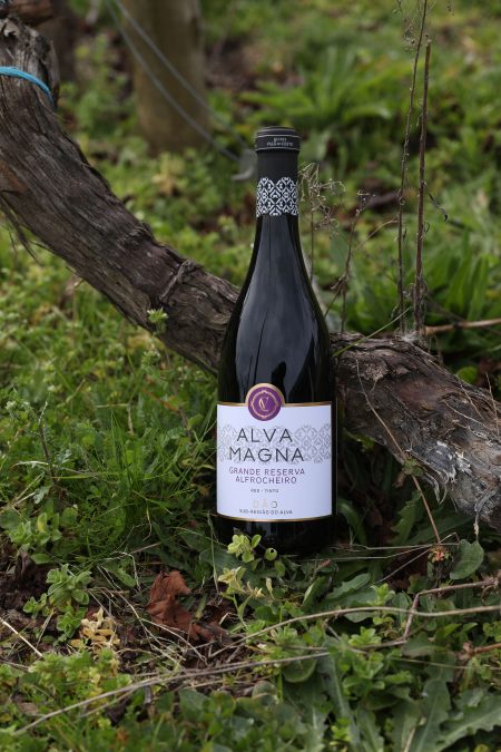 Alva Magna Grande Reserva, Alfrocheiro