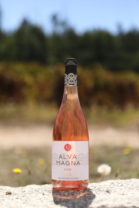 Alva Magna, Rosé